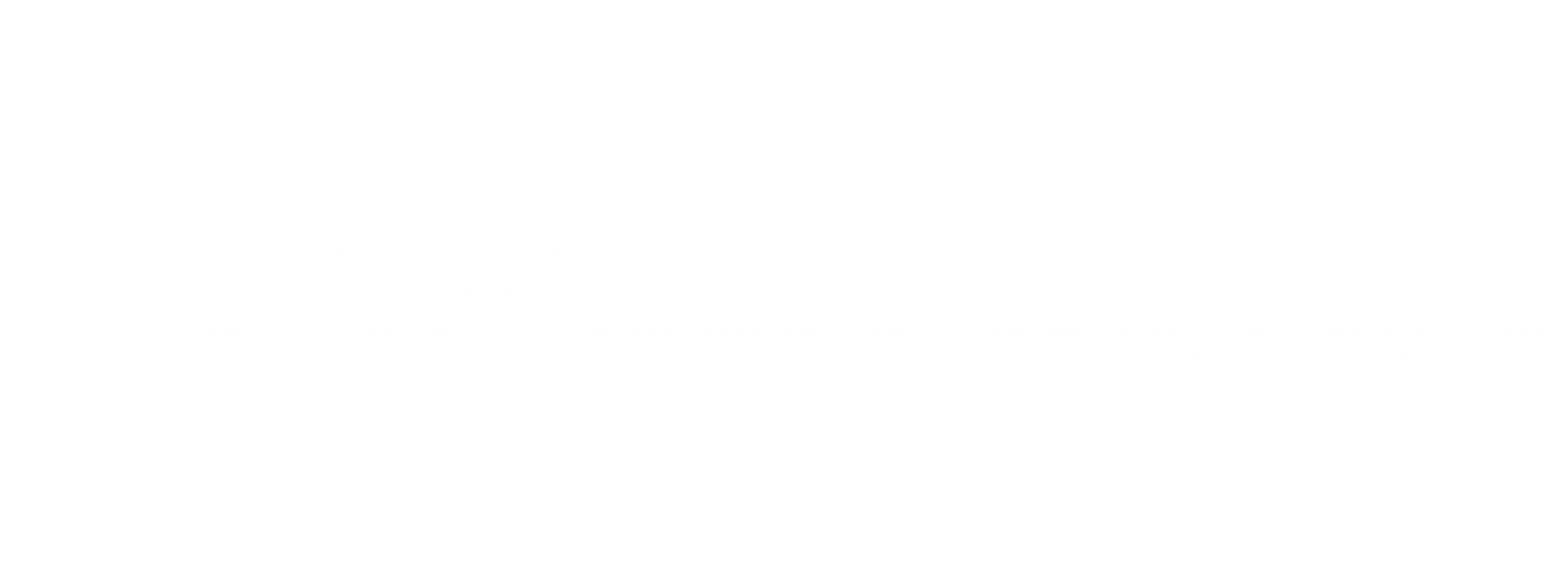 STARZUM
